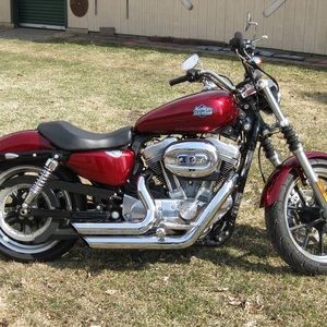 Meet your Posher, Susie teddy